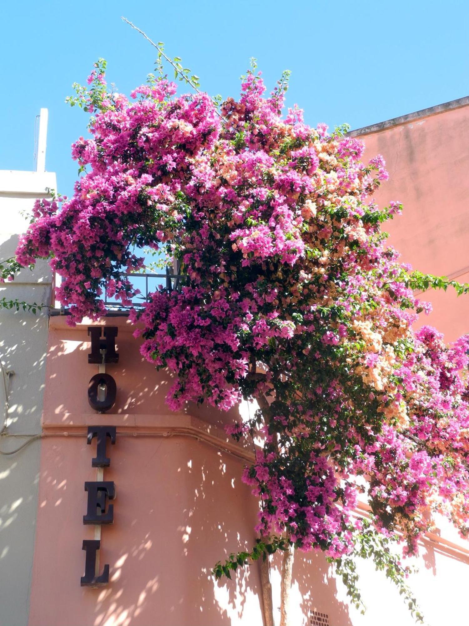 Italia Hotel Piombino